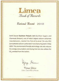 Limca Book  of Record for Onsite Plant