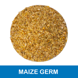 Gulshan Polyols Limited - Corn/Maize Germ