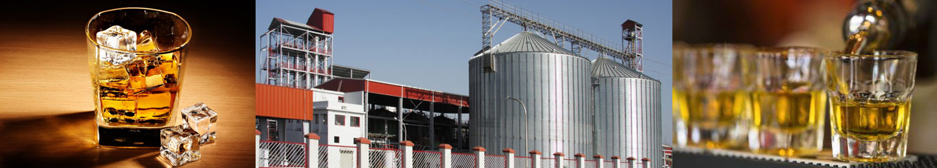Rice DDGS suppliers in India