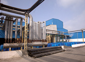 Gulshan Polyols Limited - Facilities