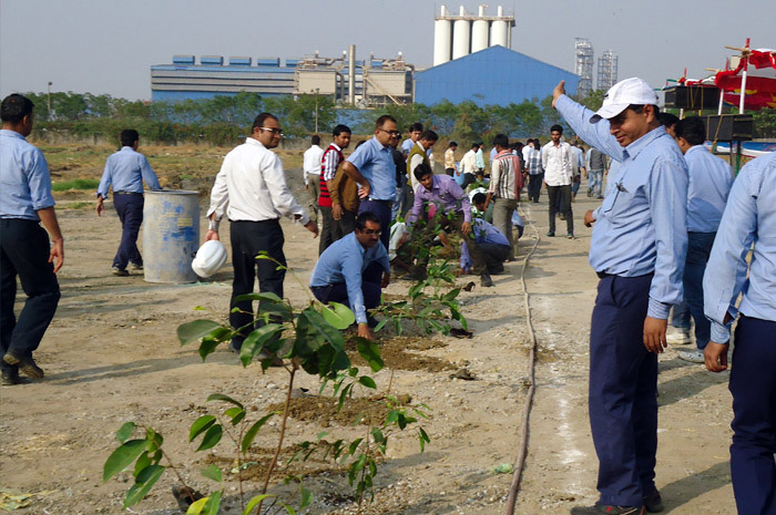 Van Mahotsav, An Annual intitiative to Plant Trees