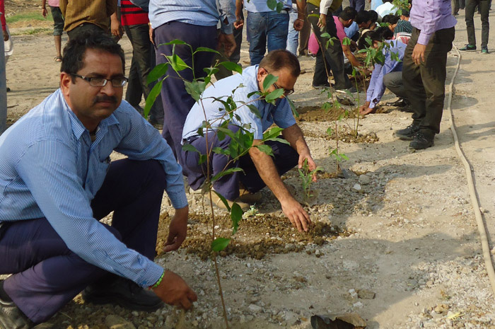 Van Mahotsav, An Annual intitiative to Plant Trees