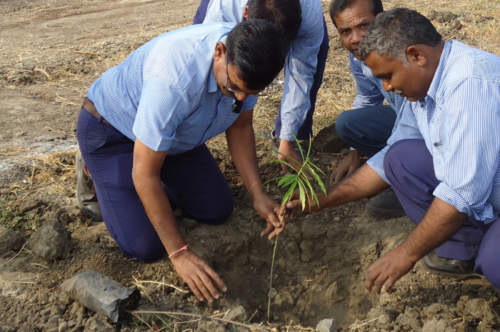 Van Mahotsav, An Annual intitiative to Plant Trees