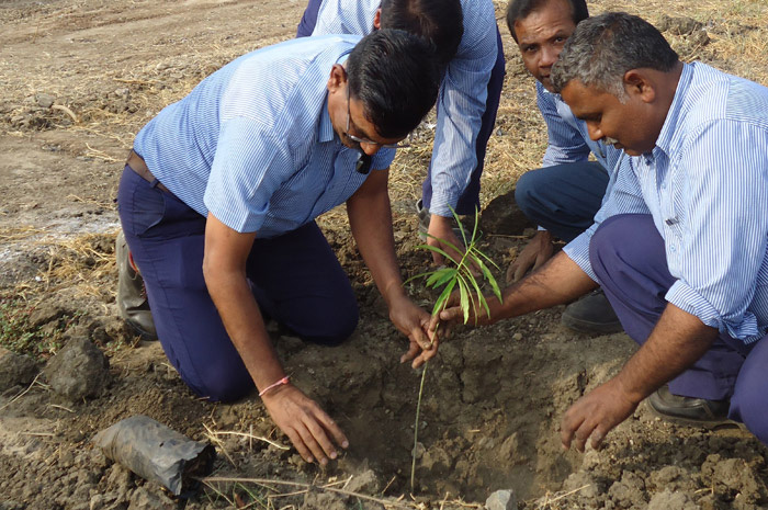 Van Mahotsav, An Annual intitiative to Plant Trees