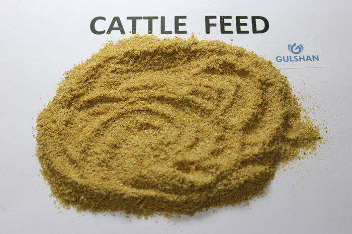  Cattle Feed