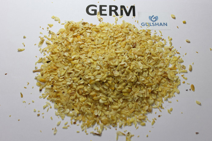 Corn Germ