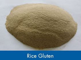 Rice Protein / Gluten