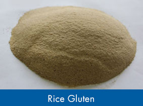 Rice Gluten Rice Gluten Supplier