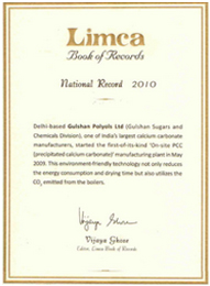 Limca Book  of Record for Onsite Plant